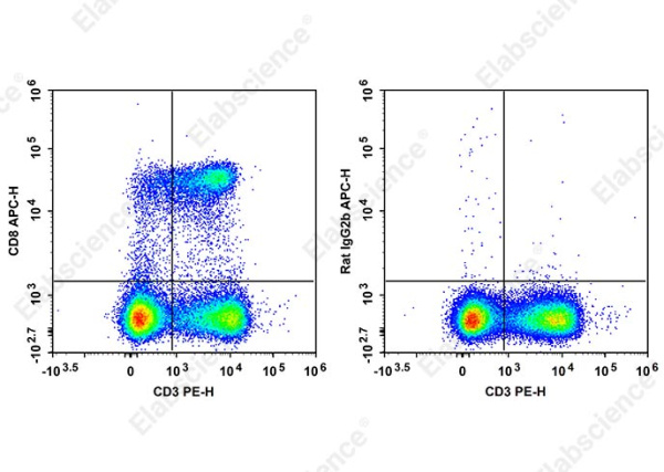 APC Anti-Mouse CD8 Antibody[YTS-169] (AN00576E)