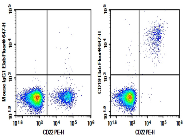 Purified Anti-Human CD19 Antibody[SJ25C1] (AN003340P)
