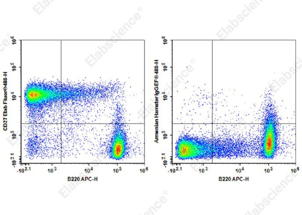 Elab Fluor® 488 Anti-Mouse CD27 Antibody[LG.3A10] (AN00322L)