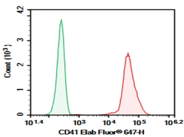 Purified Anti-Human CD41 Antibody[10E5-F0061] (AN003320P)