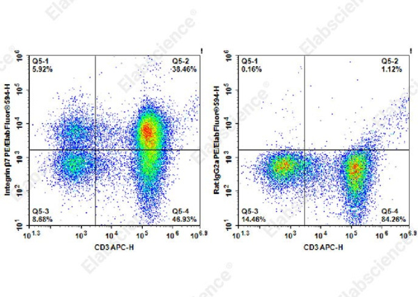 PE/Elab Fluor® 594 Anti-Human/Mouse Integrin β7 Antibody[FIB21] (AN00423P)