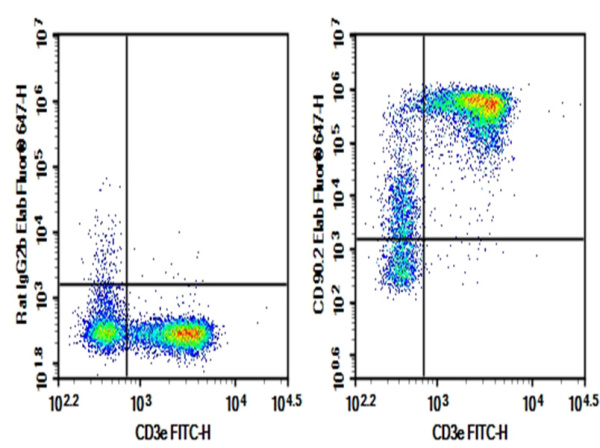 Purified Anti-Mouse CD90.2/Thy1.2 Antibody[30H12] (E-AB-F1094A)