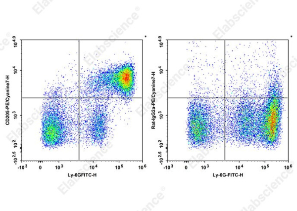 PE/Cyanine7 Anti-Mouse CD205 Antibody[NLDC-145] (AN00844H)
