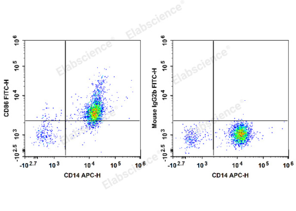 FITC Anti-Human CD86 Antibody[IT2.2] (E-AB-F1269C)