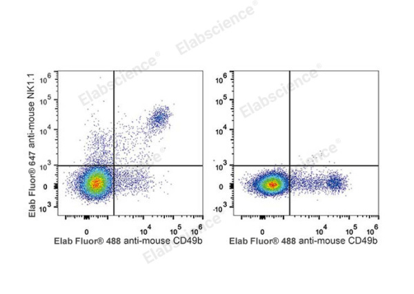 Elab Fluor® 647 Anti-Mouse CD161/NK1.1 Antibody[PK136] (E-AB-F0987UM)