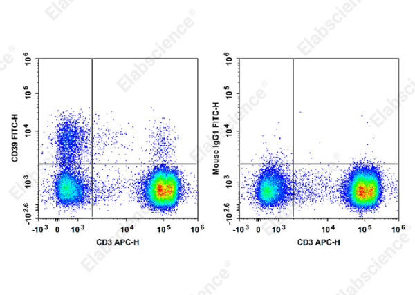 FITC Anti-Human CD39 Antibody[A1] (E-AB-F1165C)