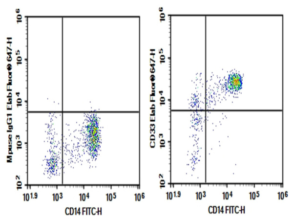 Purified Anti-Human CD33 Antibody[6C5] (E-AB-F10830P)