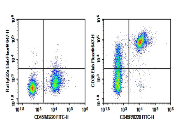 AF/LE Purified Anti-Mouse CD38 Antibody[NIMR5] (E-AB-F11930)