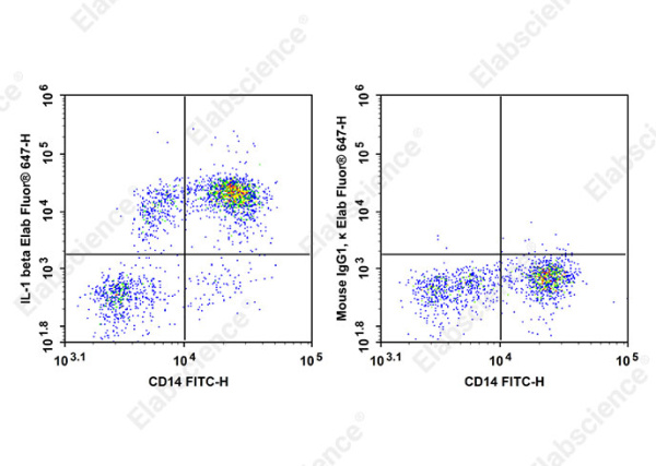 Elab Fluor® 647 Anti-Human IL-1 beta Antibody[CRM56] (AN00842M)