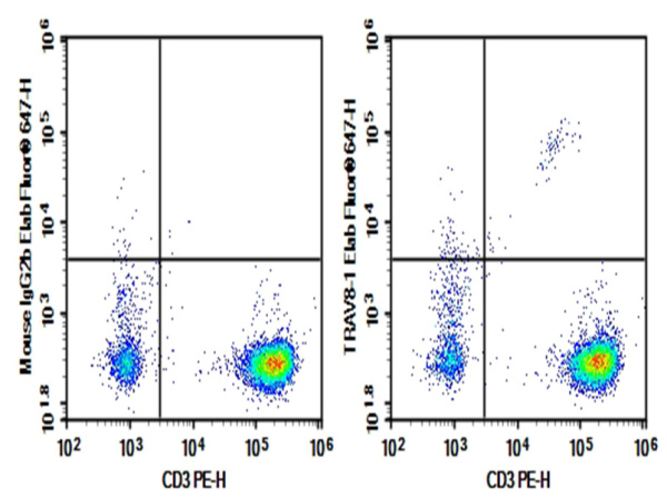 Purified Anti-Human TRAV8-1 Antibody[16G8] (AN003680P)