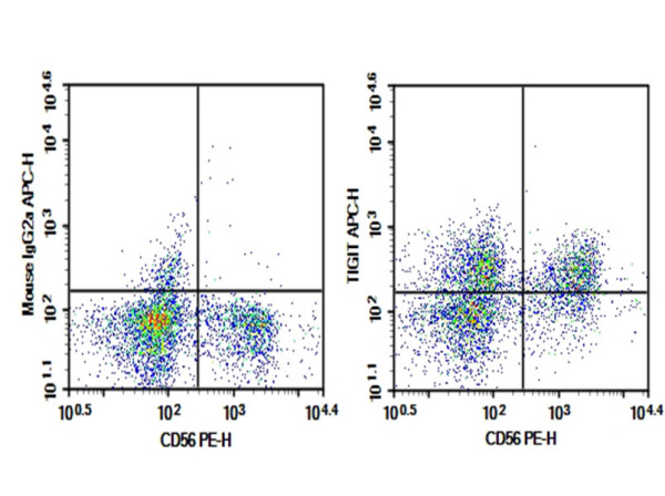 AF/LE Purified Anti-Human TIGIT Antibody[A15153G] (AN009730)