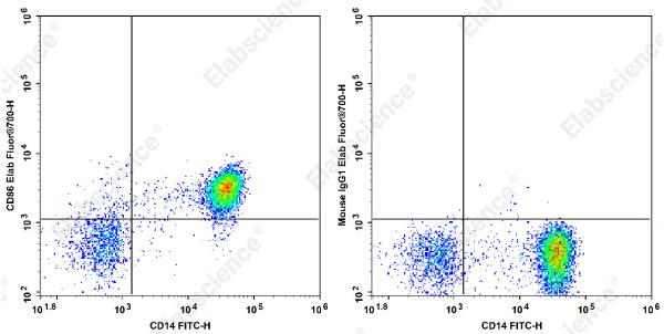Elab Fluor® 700 Anti-Human CD86 Antibody[BU63] (E-AB-F1012M1)