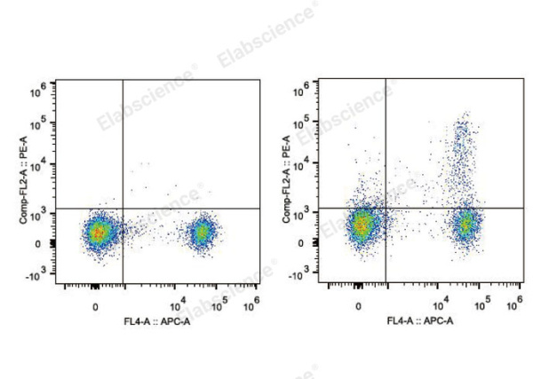 PE Anti-Mouse CD25 Antibody[PC-61.5.3] (E-AB-F1102UD)
