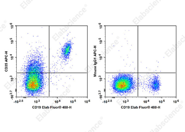 APC Anti-Human CD35 Antibody[E11] (E-AB-F1062E)
