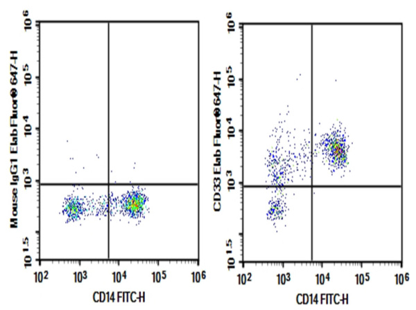 Purified Anti-Human CD33 Antibody[HIM3-4] (AN003400P)