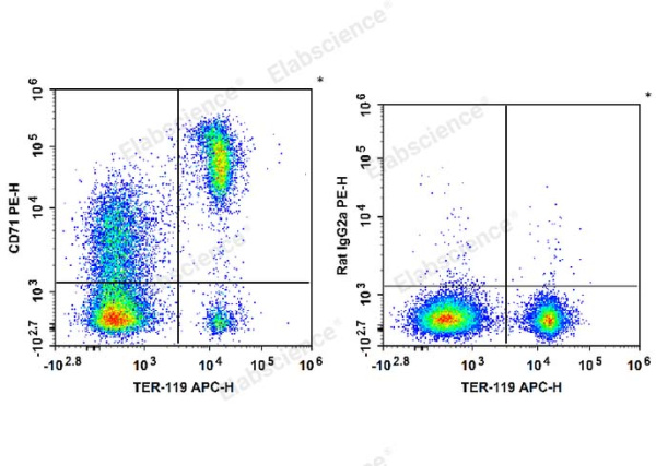 PE Anti-Mouse CD71 Antibody[R17 217.1.3/TIB-219] (E-AB-F1093UD)