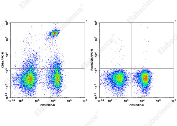 APC Anti-Mouse CD8a Antibody[YTS 105.18] (AN00331UE)
