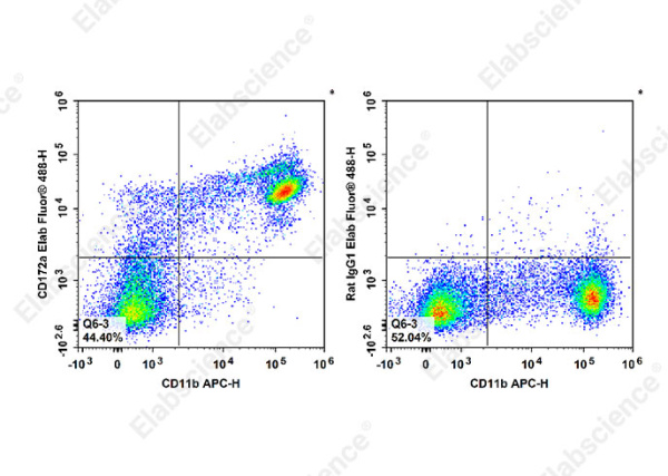 Elab Fluor® 488 Anti-Mouse CD172a/SIRPα Antibody[P84] (E-AB-F1286L)