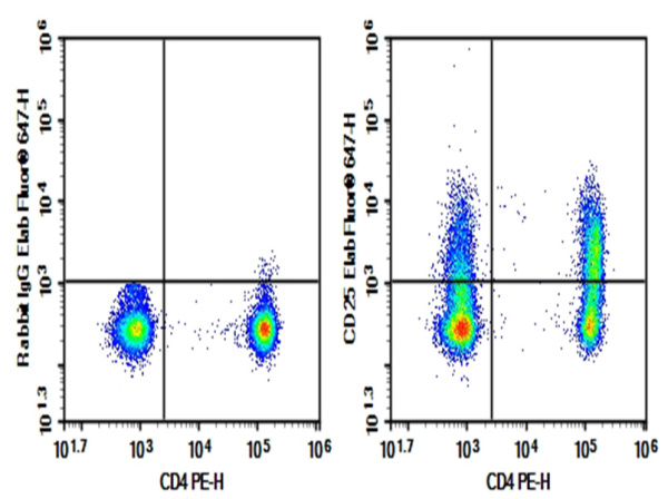 Purified Anti-Human CD25 Antibody[daclizumab] (AN006240P)