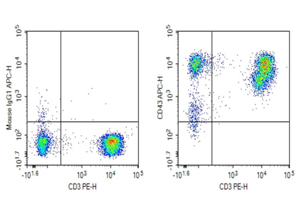 Purified Anti-Human CD43 Antibody[HI161] (E-AB-F1328A)