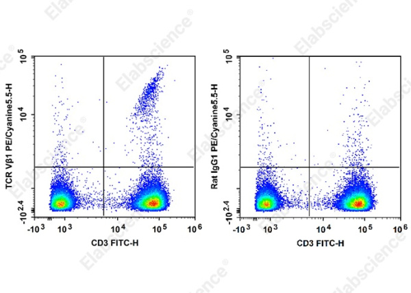 PE/Cyanine 5.5 Anti-Human TCR Vβ1 Antibody[BL37.2] (AN00371I)