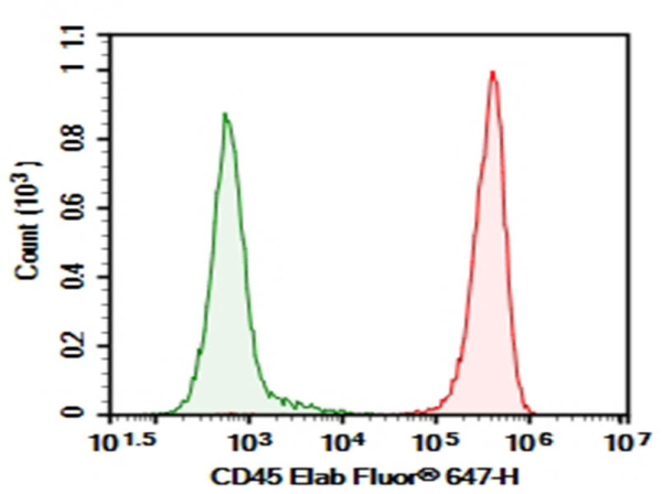 Purified Anti-Mouse CD45 Antibody[M1/9.3.4.HL.3] (AN007700P)