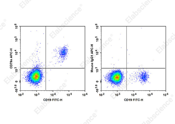 APC Anti-Human CD79a Antibody[HM47] (E-AB-F1370E)