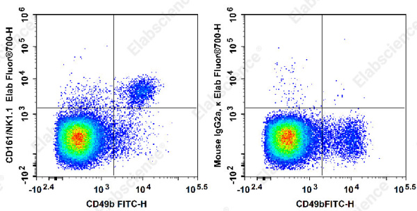 Elab Fluor® 700 Anti-Mouse CD161/NK1.1 Antibody[PK136] (E-AB-F0987UM1)