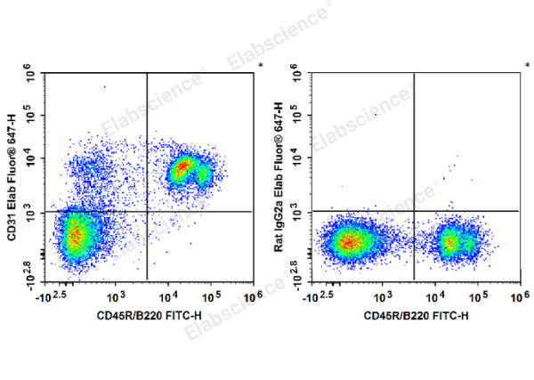Biotin Anti-Mouse CD31 Antibody[390] (E-AB-F1180B)
