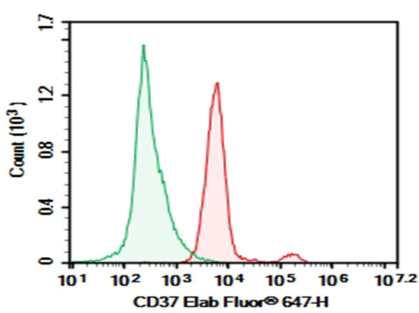 Purified Anti-Human CD37 Antibody[IPO-24] (E-AB-F10630P)
