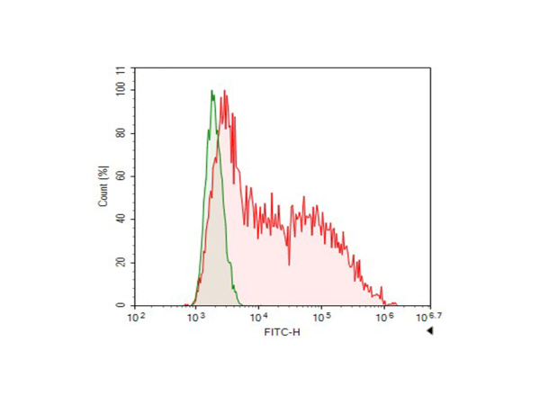 FITC-conjugated Flag-Tag Monoclonal Antibody (AN00299C)