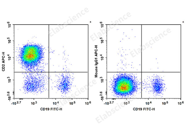 APC Anti-Human CD2 Antibody[RPA-2.10] (E-AB-F1375E)