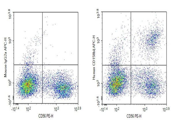 Purified Anti-Human CD158b/j Antibody[DX27] (E-AB-F1381A)