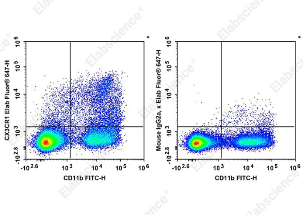 Elab Fluor®647 Anti-Mouse CX3CR1 Antibody[SA011F11] (AN01022M)