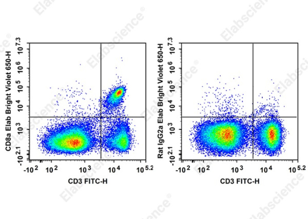 Elab Bright™ Violet 650 Anti-Mouse CD8a Antibody[53-6.7] (E-AB-F1104U)