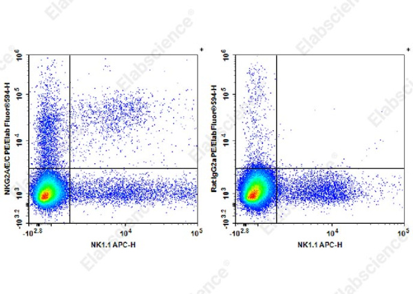 PE/Elab Fluor® 594 Anti-Mouse NKG2A/C/E Antibody[20d5] (AN00409P)
