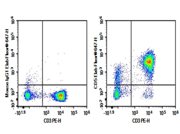 Purified Anti-Human CD5 Antibody[HISM2] (E-AB-F1313A)