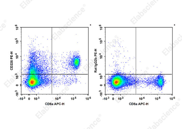 PE Anti-Mouse CD226 Antibody[10E5] (E-AB-F1402D)