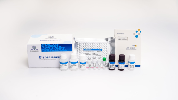 Human CTXI(Cross Linked C-telopeptide of Type I Collagen) CLIA Kit (E-CL-H0583)