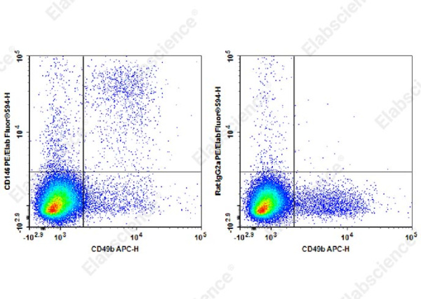 PE/Elab Fluor® 594 Anti-Mouse CD146 Antibody[ME-9F1] (E-AB-F1395P)