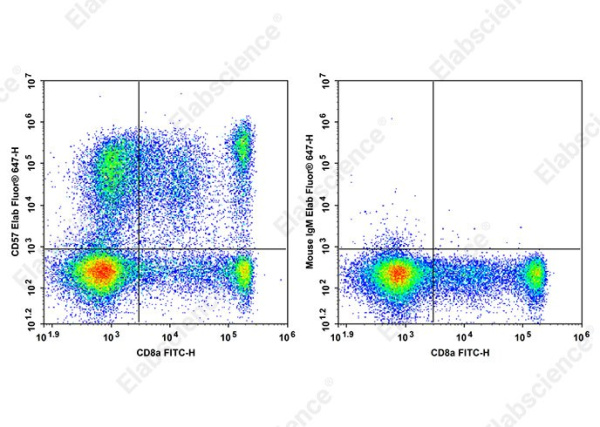 Elab Fluor® 647 Anti-Human CD57 Antibody[HI57a] (E-AB-F1333M)
