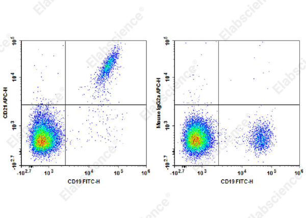 APC Anti-Human CD21 Antibody[HB5] (E-AB-F1377E)