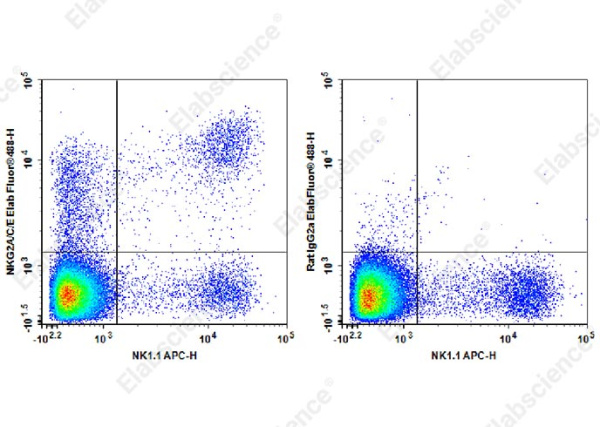 Elab Fluor® 488 Anti-Mouse NKG2A/C/E Antibody[20d5] (AN00409L)