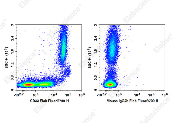 Elab Fluor® 700 Anti-Human CD32 Antibody[IV-3] (E-AB-F1075M1)