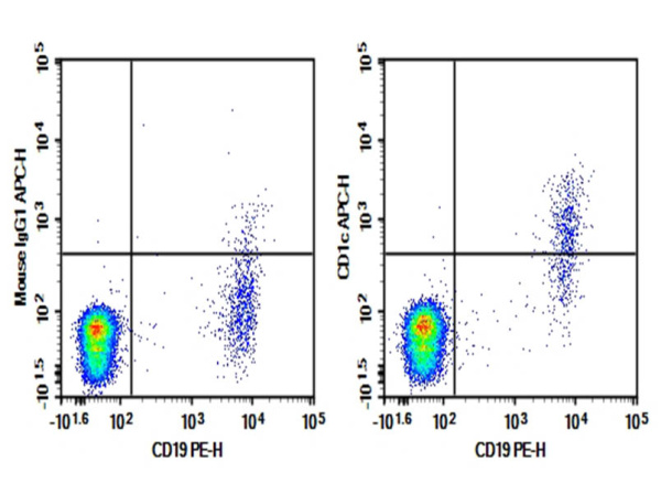 Purified Anti-Human CD1c Antibody[L161] (AN008920P)