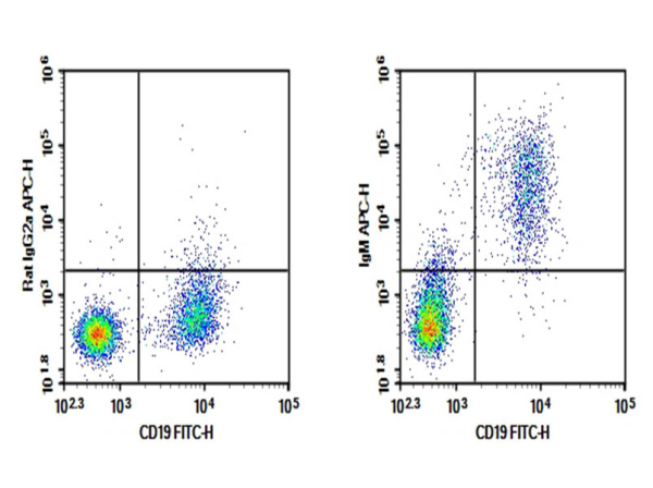 Purified Anti-Mouse IgM Antibody[RMM-1] (E-AB-F1190A)