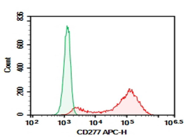 Purified Anti-Human CD277 Antibody[ICT01] (AN008880P)