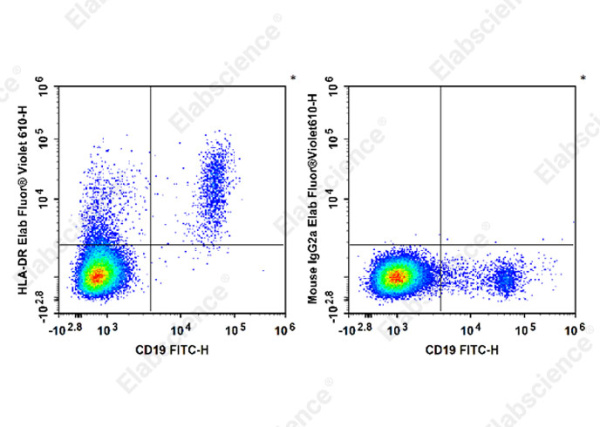 Elab Fluor® Violet 610 Anti-Human HLA-DR Antibody[L243] (E-AB-F1111T)