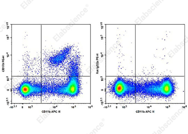 PE Anti-Mouse CD170 Antibody[S17007L] (AN00629D)