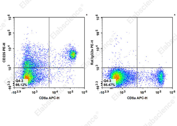 PE Anti-Mouse CD226 Antibody[480.1] (E-AB-F1419D)